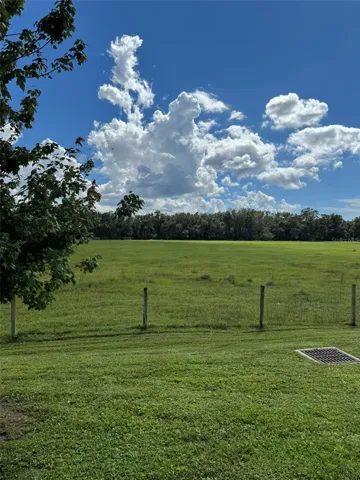 Back Yard View