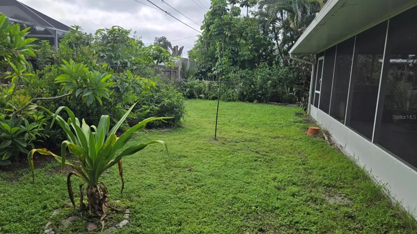 Large back yard
