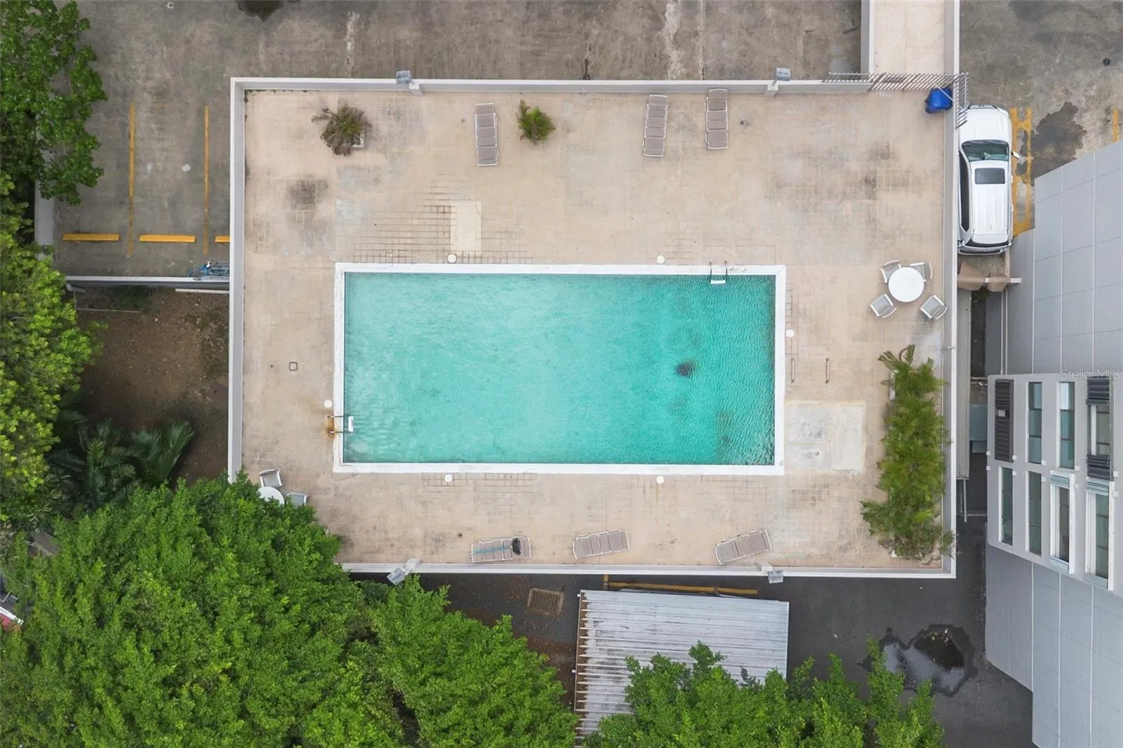 Mansiones de Garden Hills | Pool