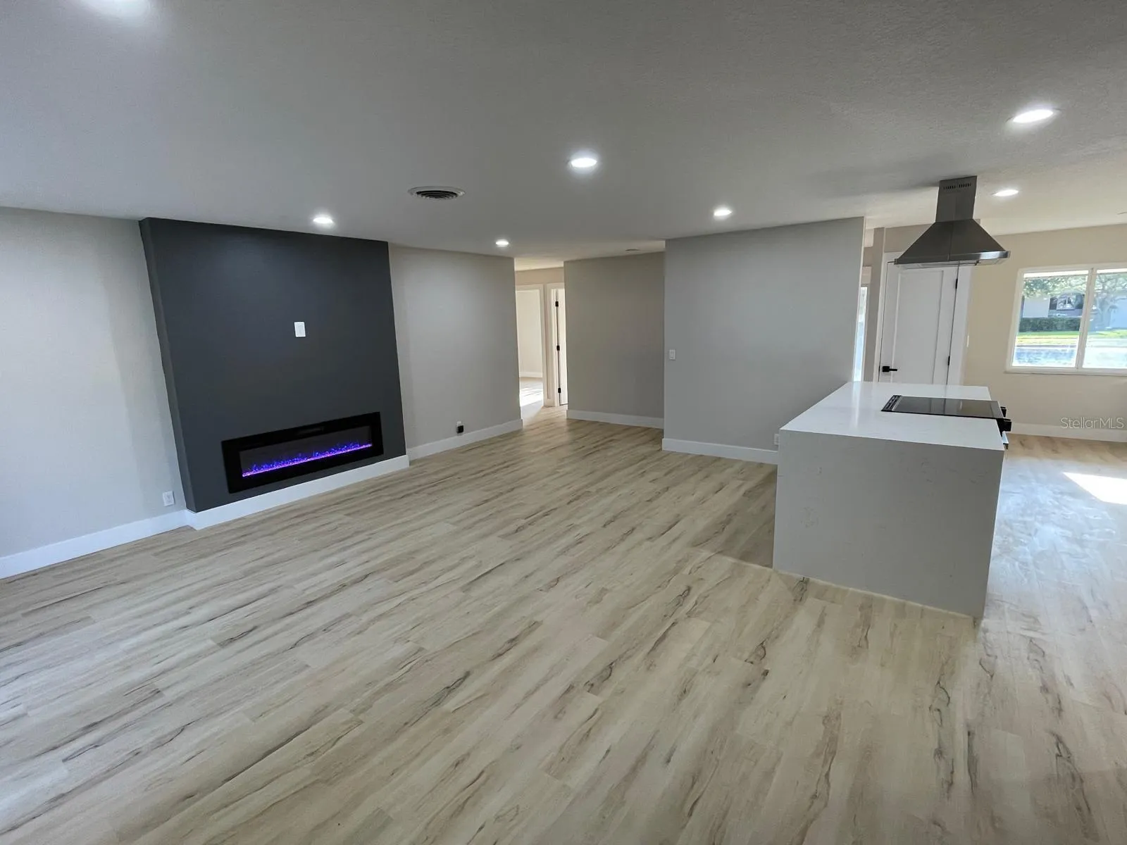 Living Room/Fireplace Unfurnished