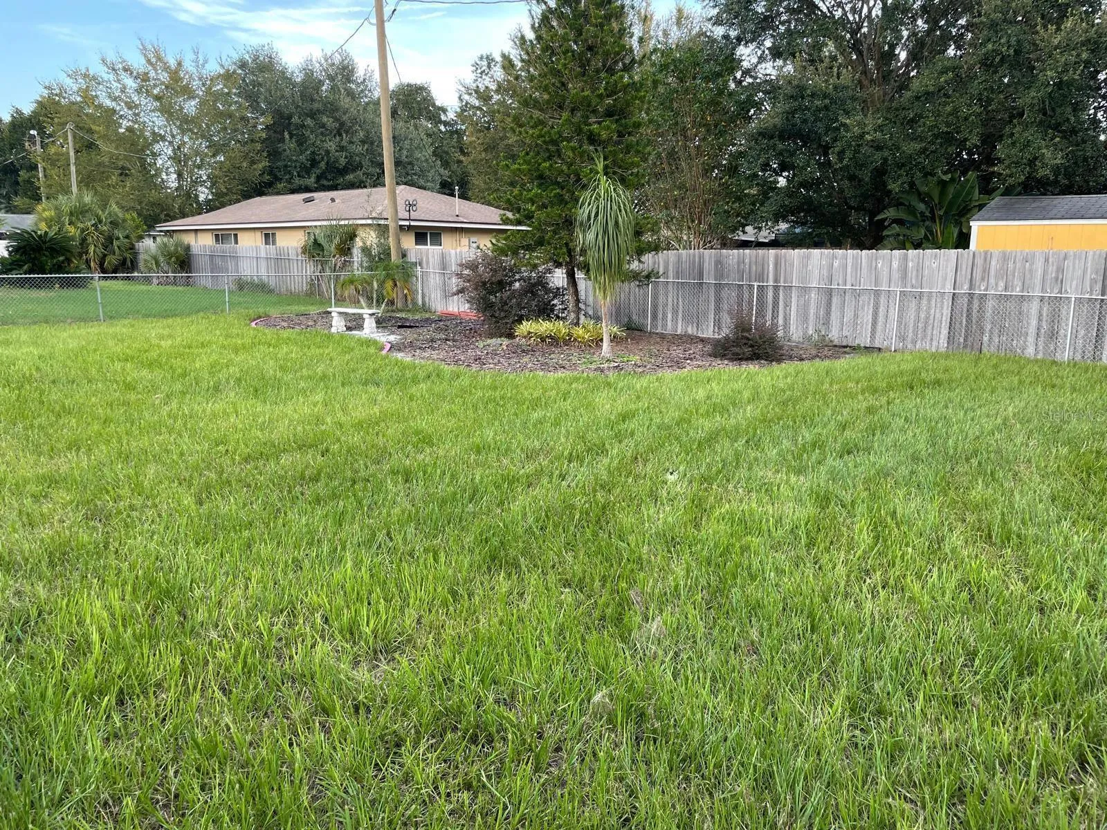 Backyard