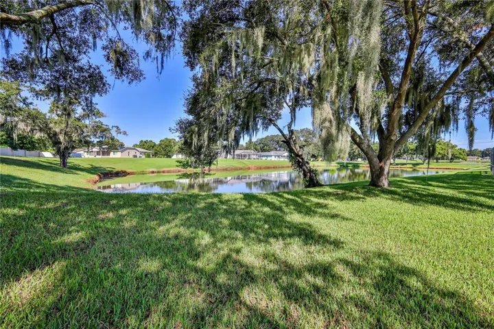Beautiful over 1/3 acre lot