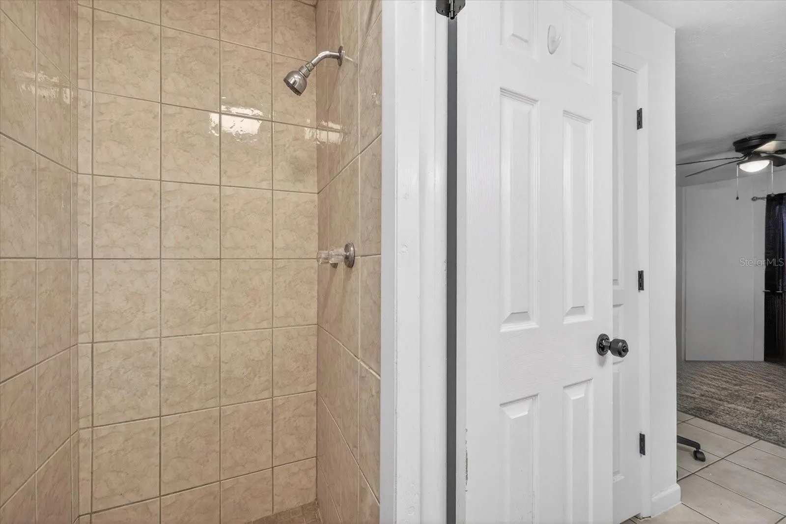 Master Bath Shower