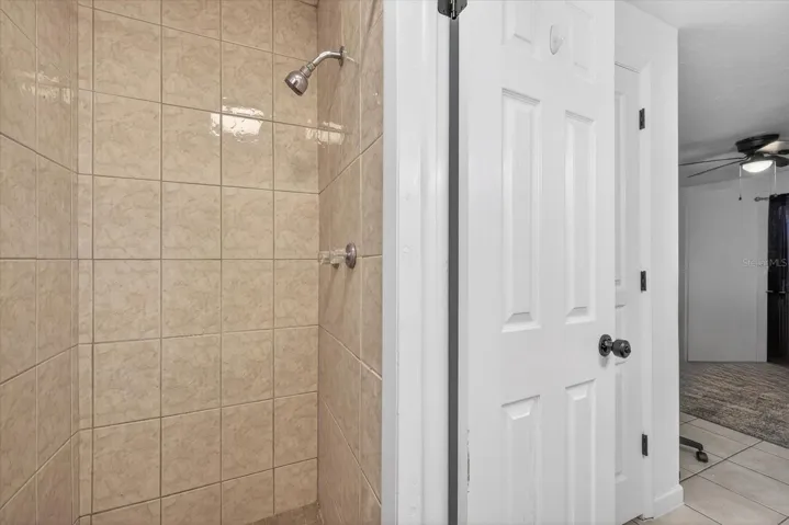 Master Bath Shower