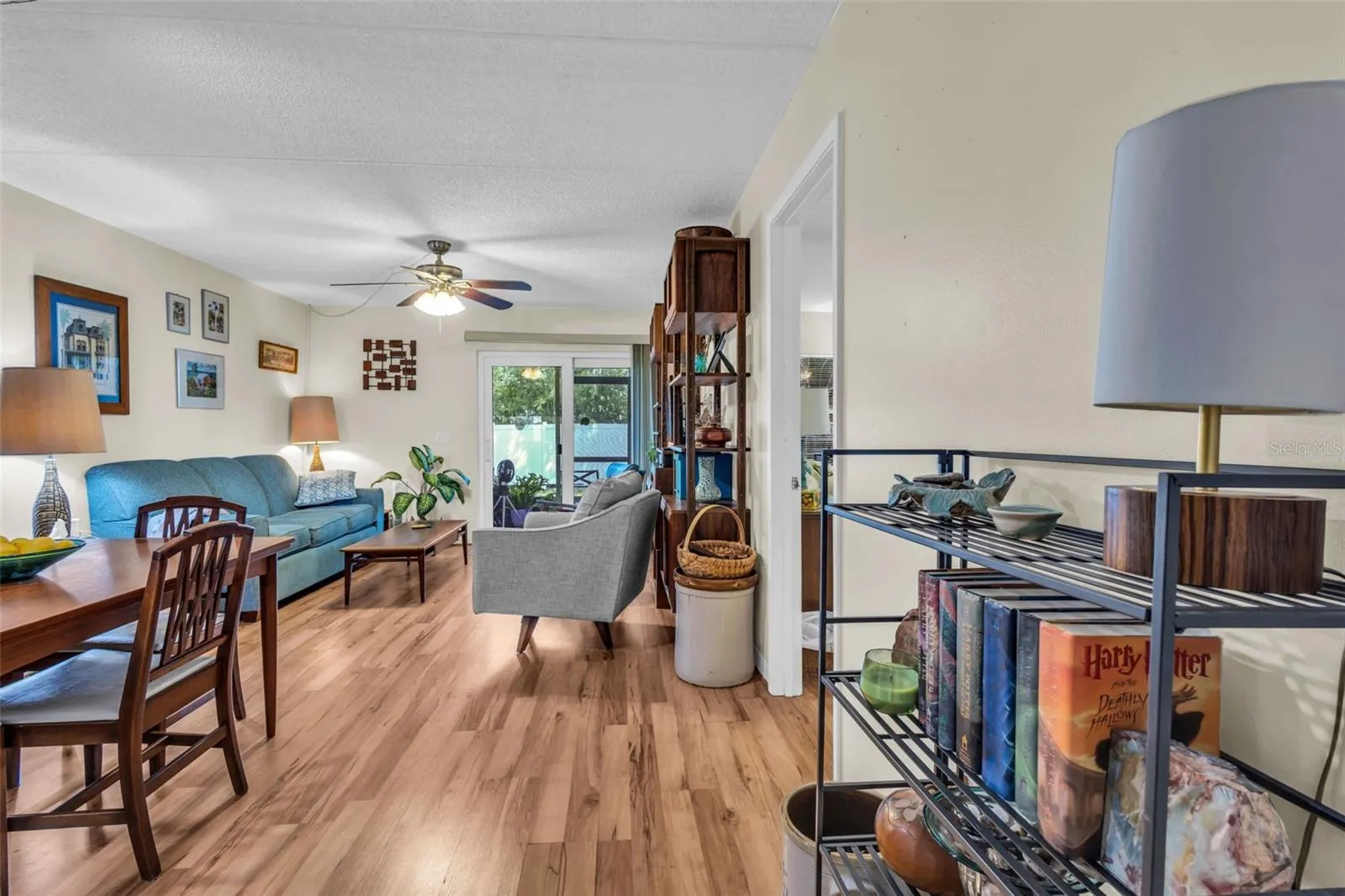 View from Entry Way