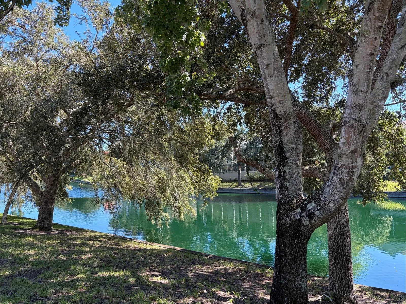 Waterview in backyard