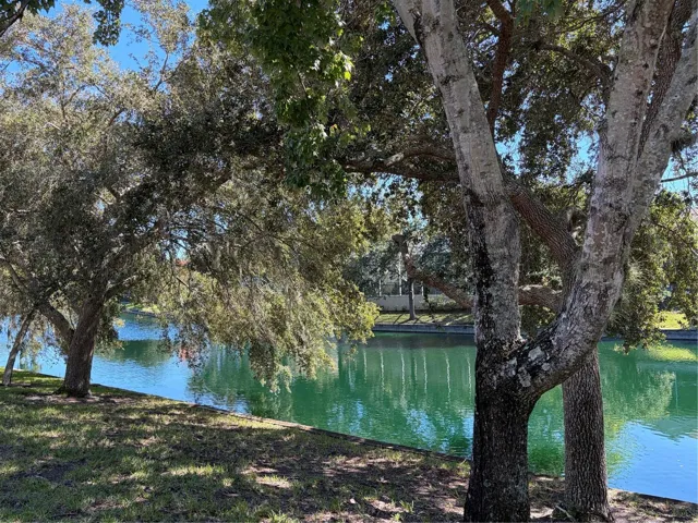 Waterview in backyard