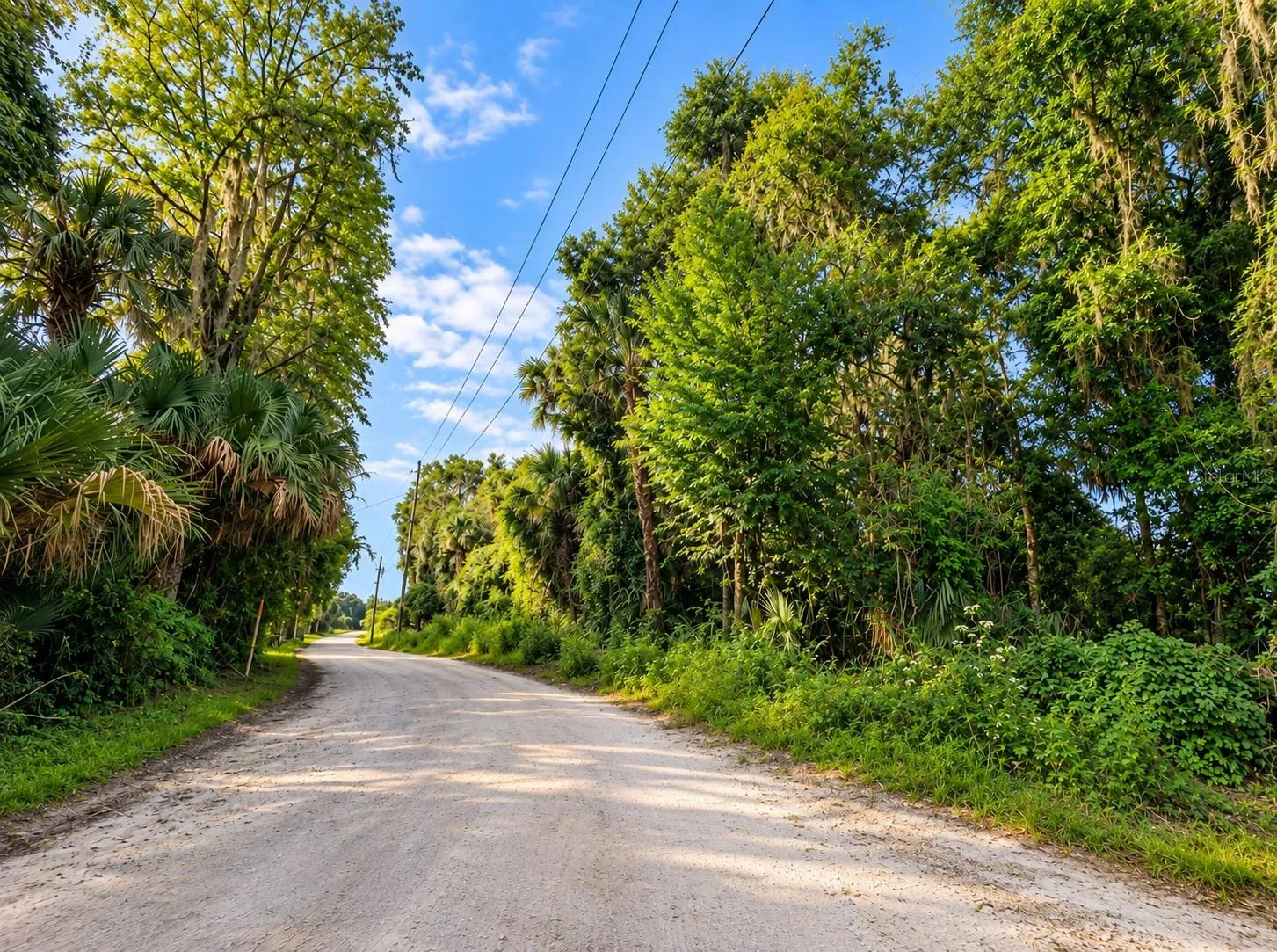road next to the house