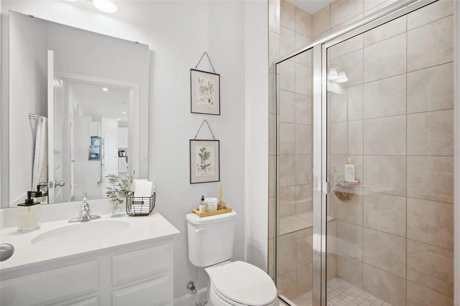 Down Stairs Bathroom