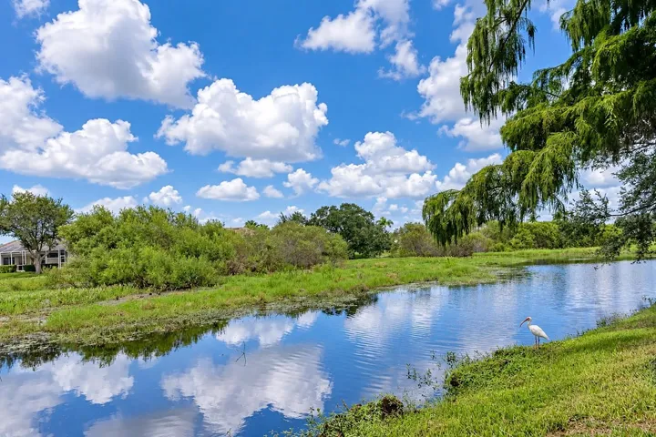 Lake and nature preserve view.