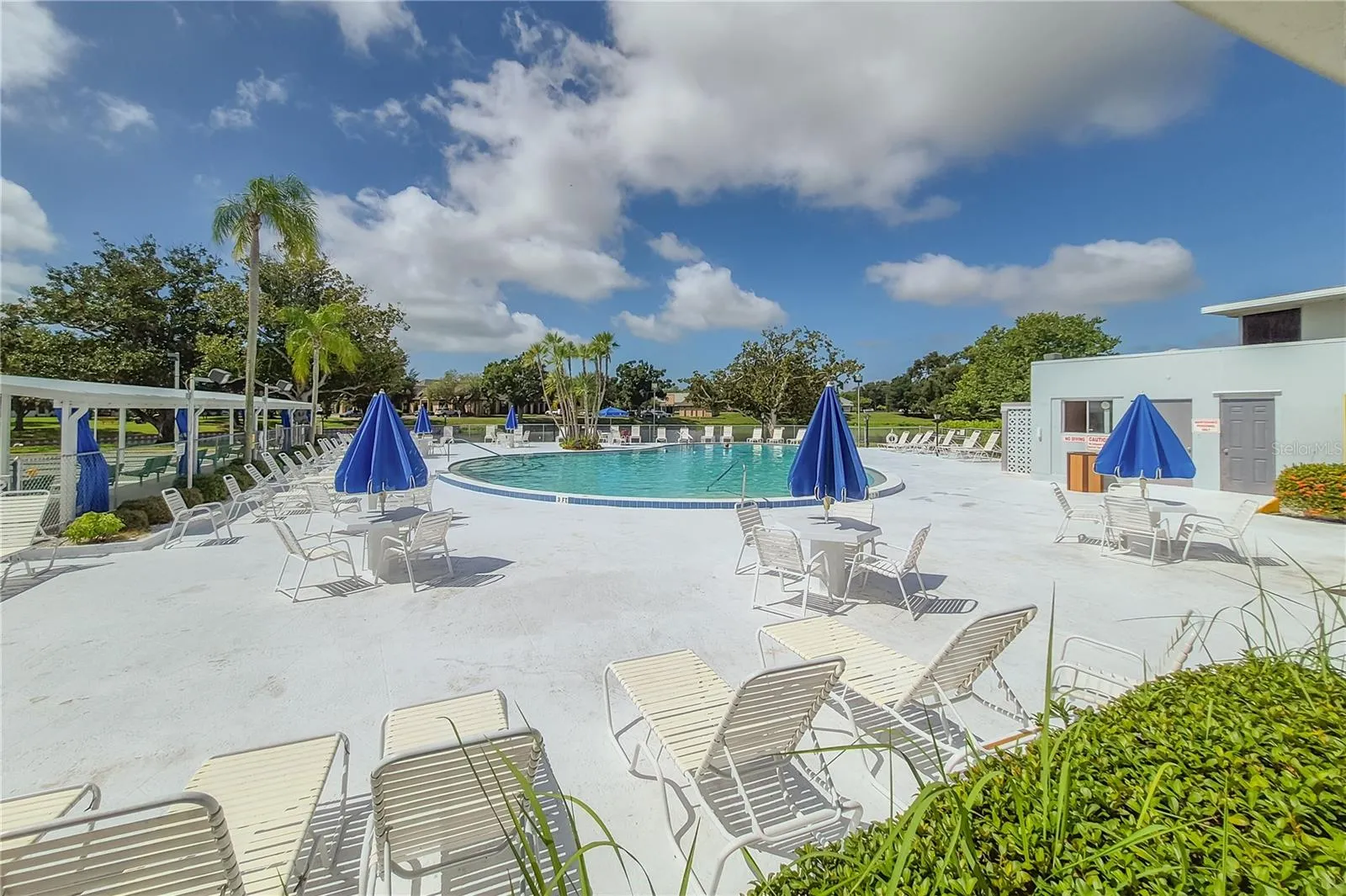 Pool deck and Pool