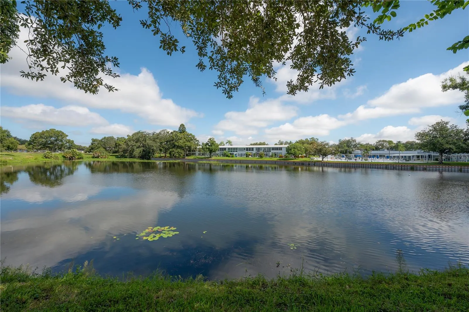 Lake Views