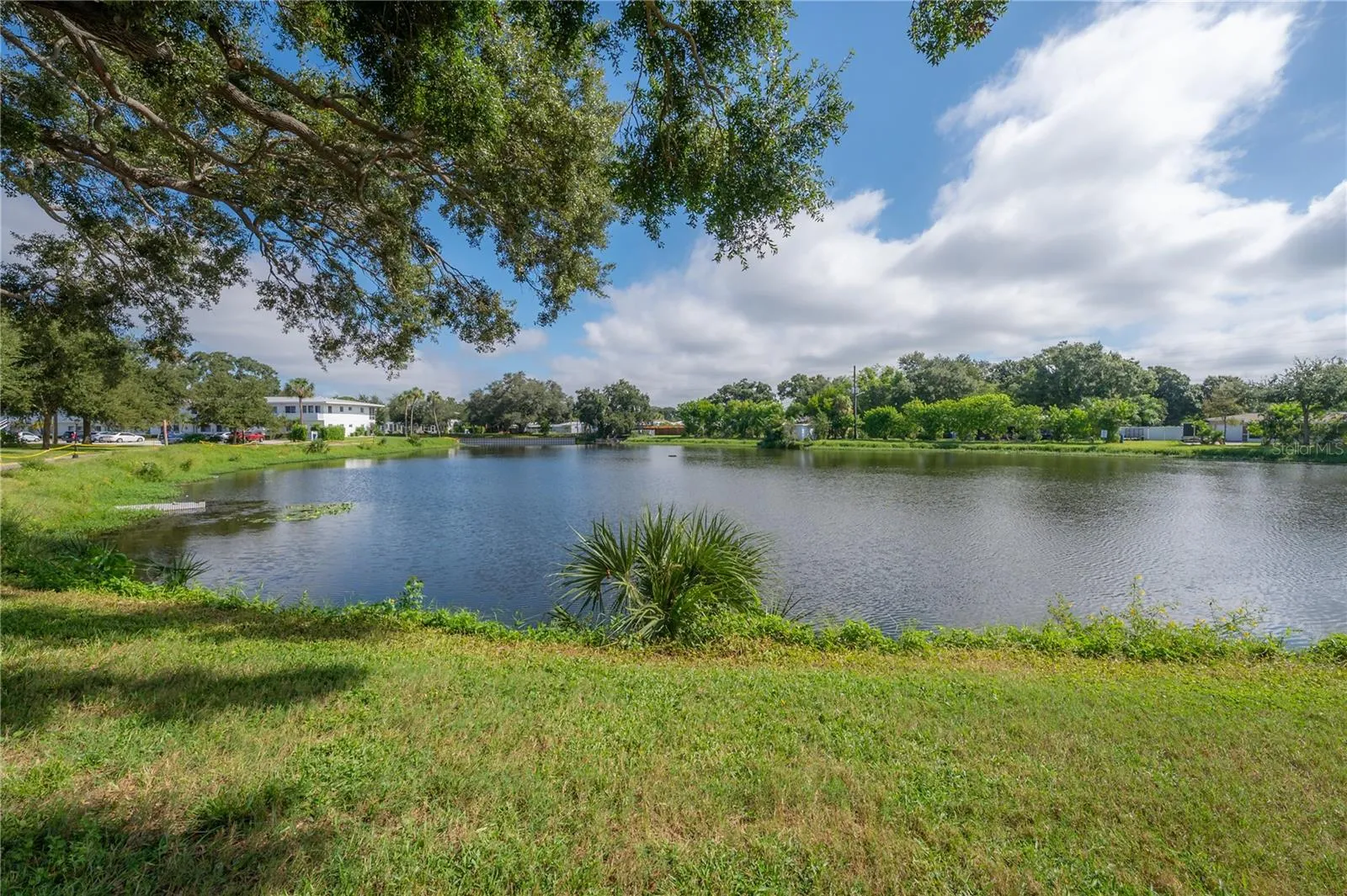 Lake with fountain