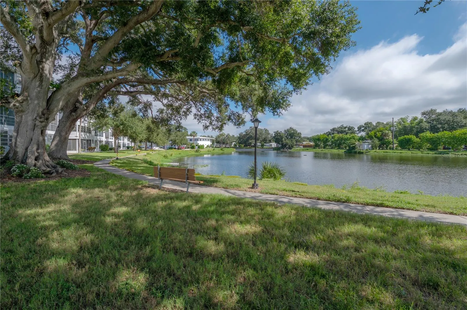Lake with fountain