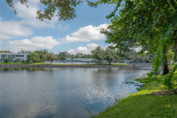 Lake Views