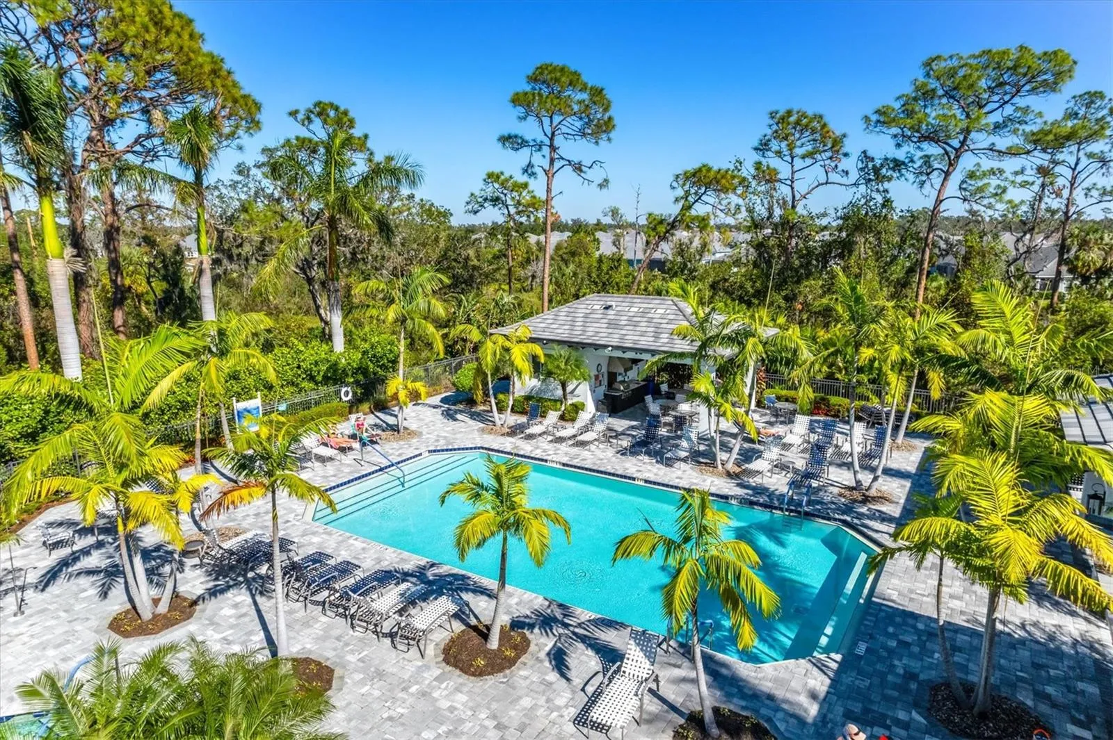 Oasis Pool