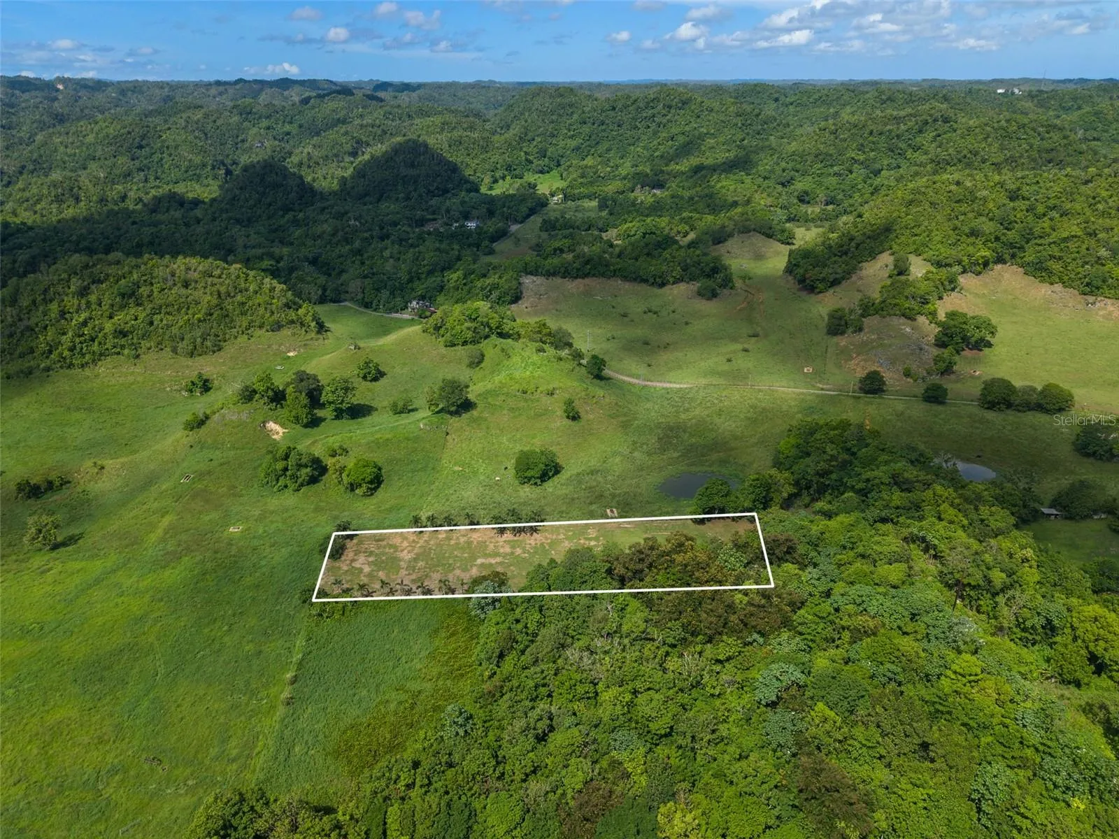 Vacant Land