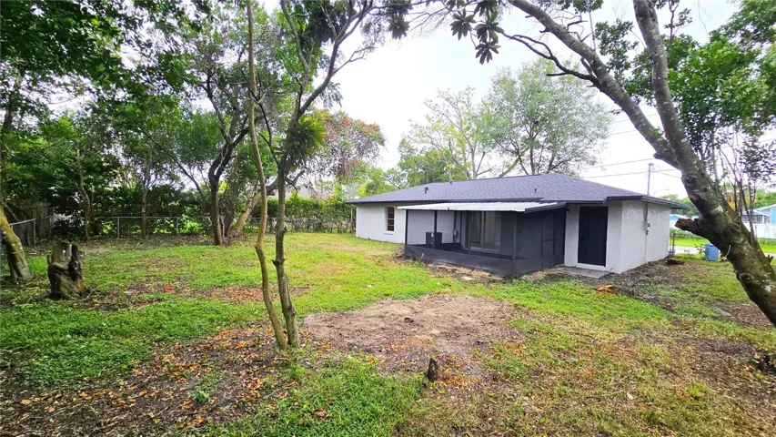 Backyard