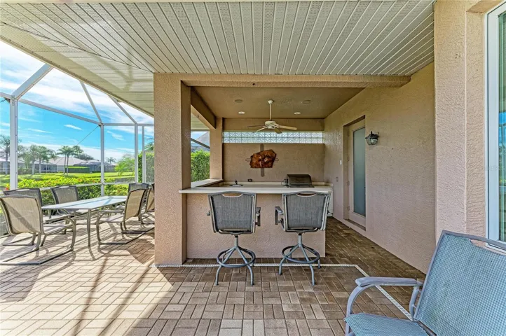 Bar and Outdoor kitchen