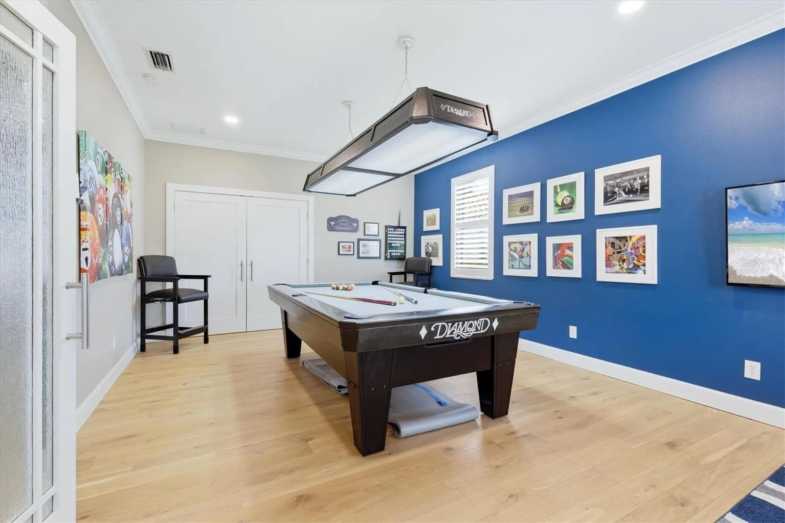 Activity/Billiard Room