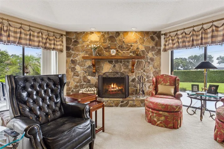 Cozy Fireplace
