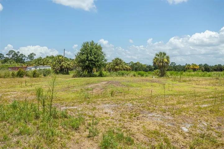 Property Cleared - Septic Field