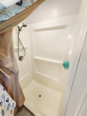 Shower Primary Bathroom
