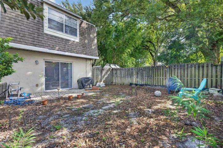 Backyard