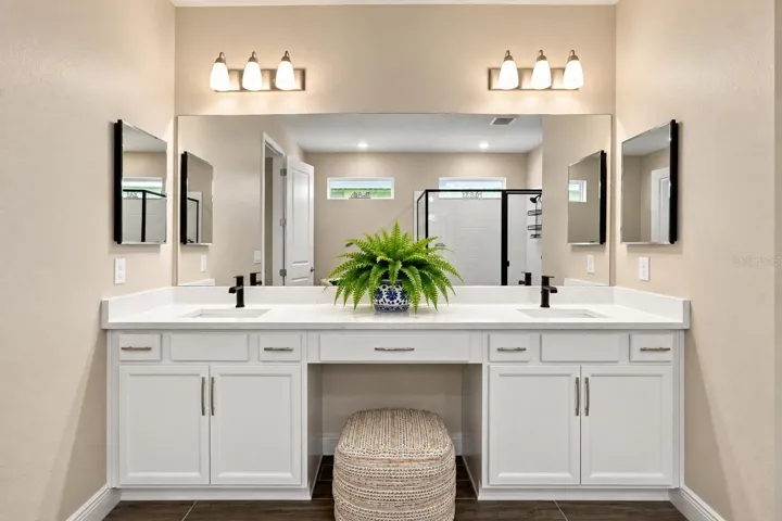 Dual Vainties and Makeup Counter