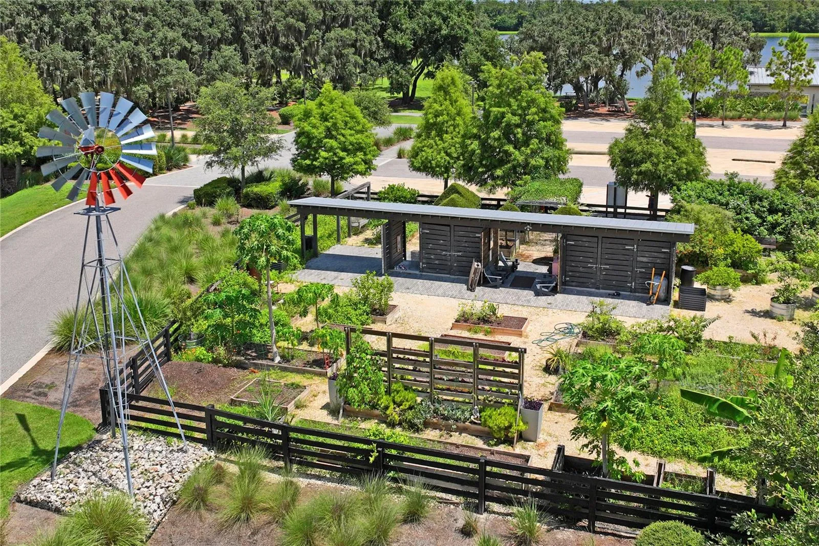 Community Plant and Veggie garden