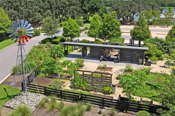 Community Plant and Veggie garden