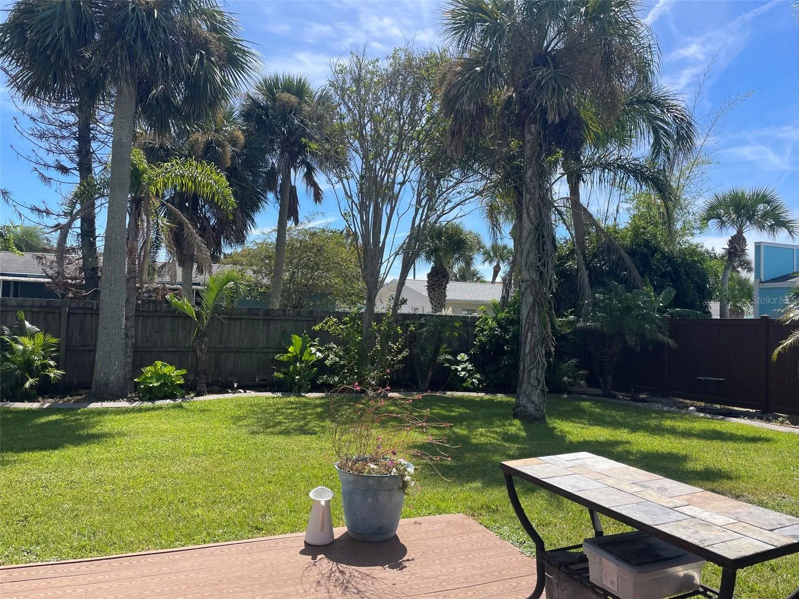 backyard