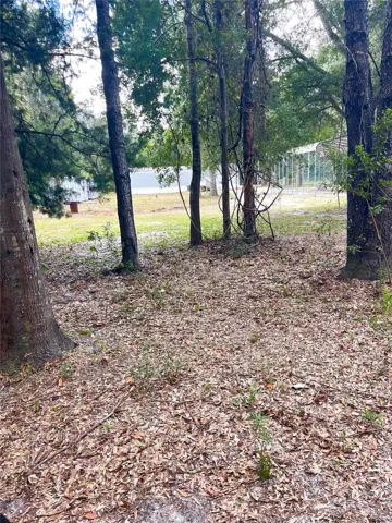 View of back of home from back of yard