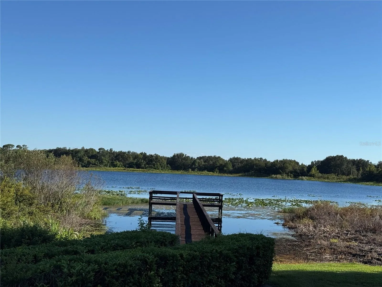 Community dock/Lake Reeves