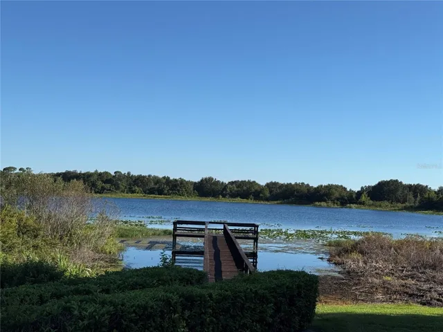 Community dock/Lake Reeves
