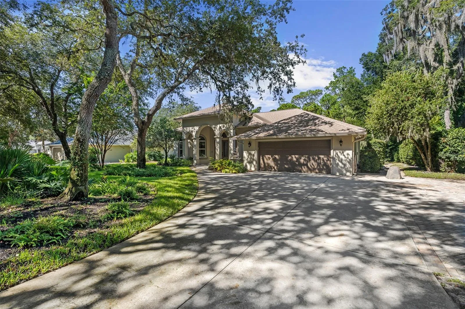 Driveway View