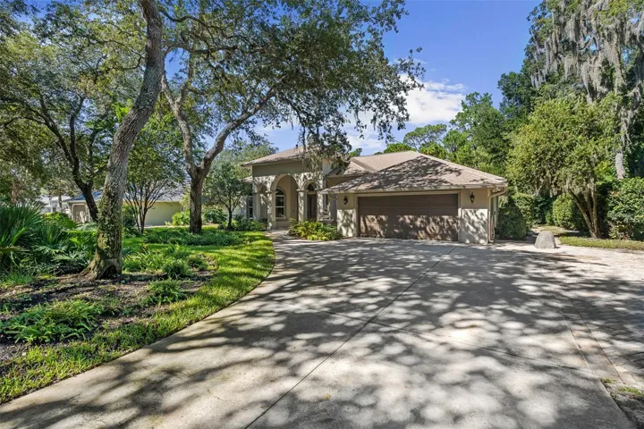 Driveway View
