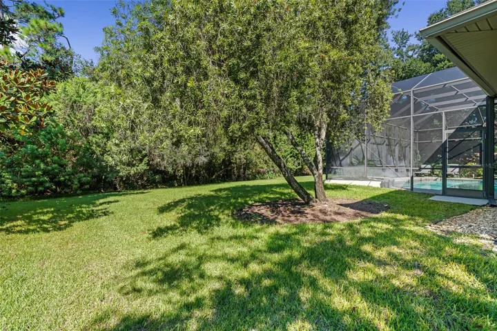 Large Backyard