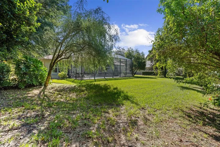 Large Backyard