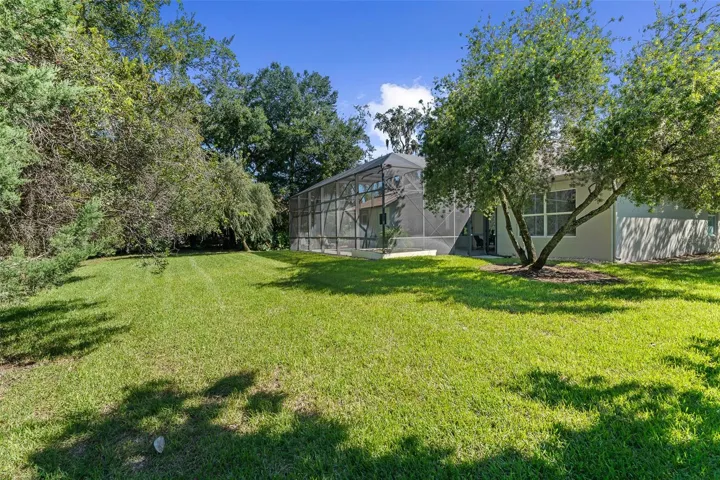 Large Backyard