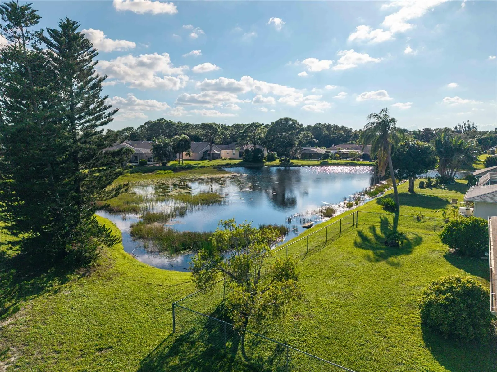 Pond View