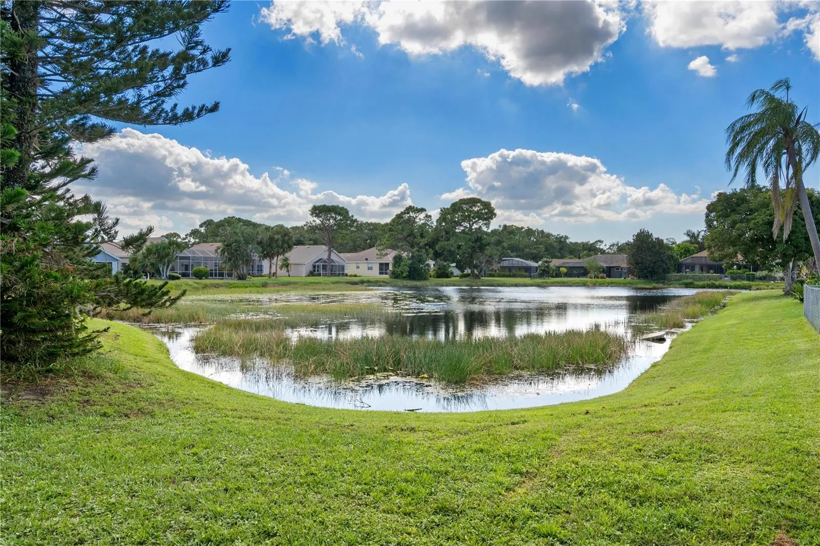 Pond View