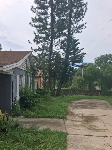 Front Trees
