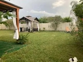 Back yard
