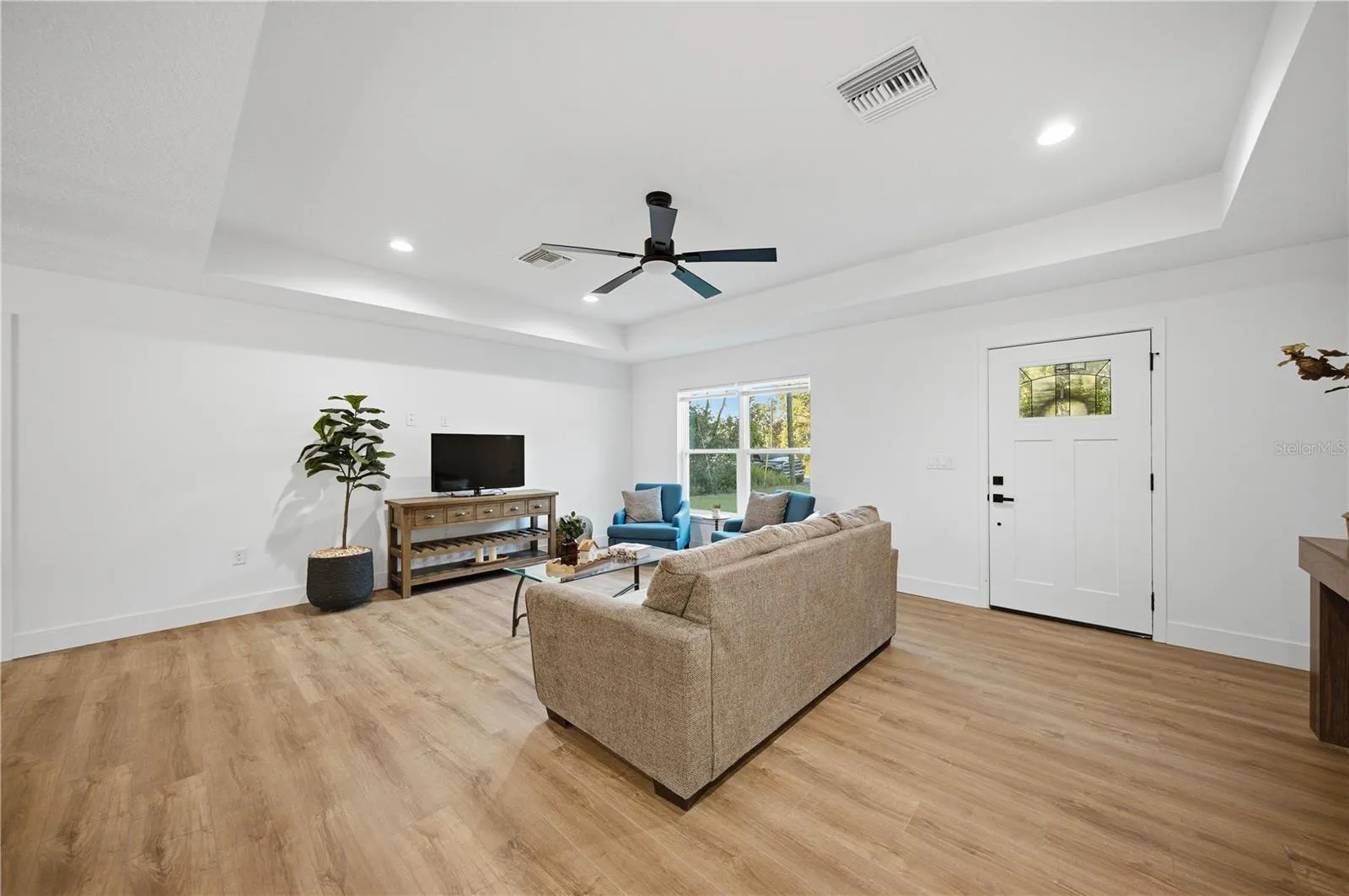 Tray ceiling in living room