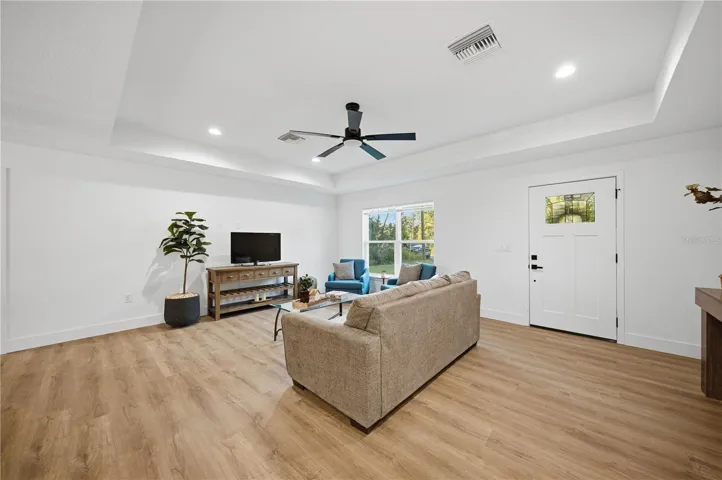 Tray ceiling in living room