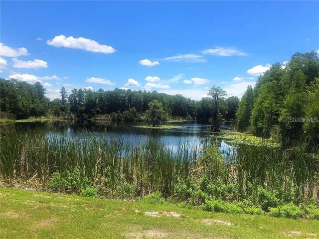 lakeside neighborhood