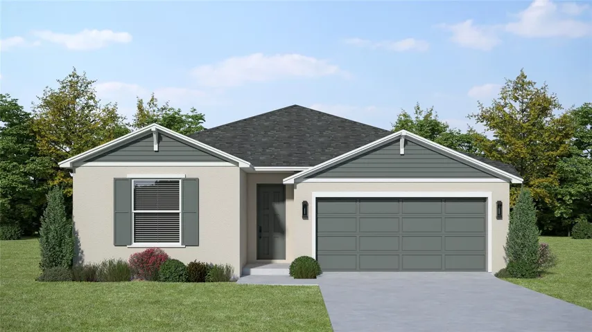 Street View Rendering