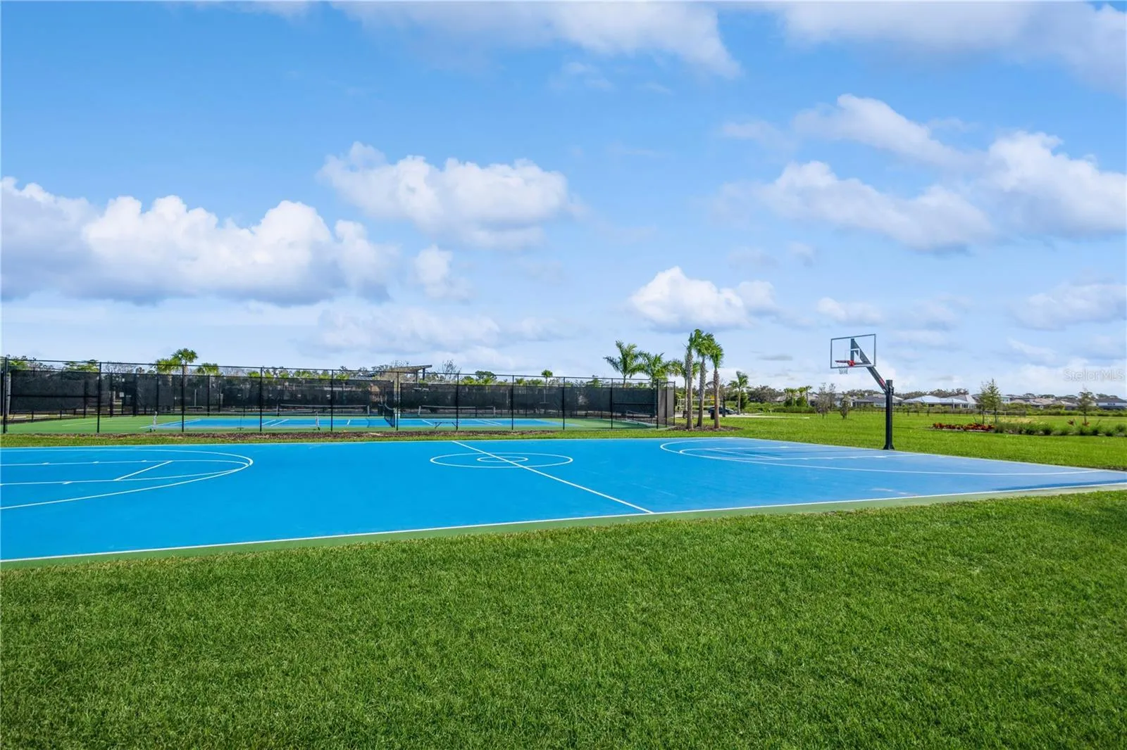 Basketball Court