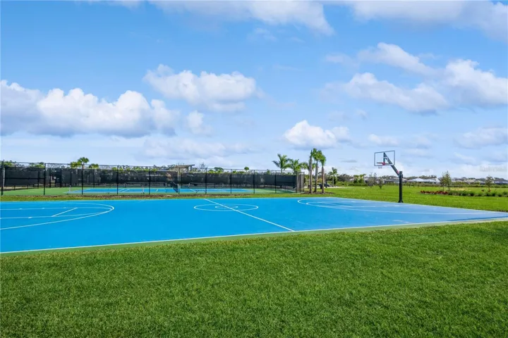 Basketball Court